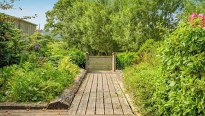 Un sendero de madera que conduce a un portón rodeado de abundante vegetación y árboles.