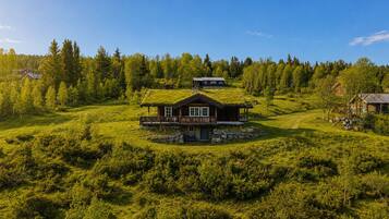 Eksteriør