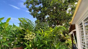 Un jardin avec différentes sortes de plantes et une clôture en bois.