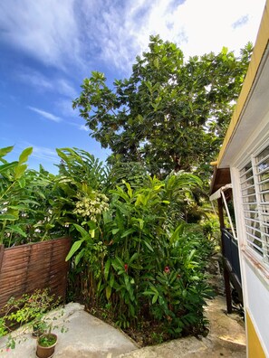A garden with various plants and a wooden fence. - House Simon Terrace Garden (Lamentin)