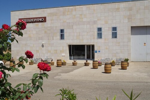 Hotel del Vino 