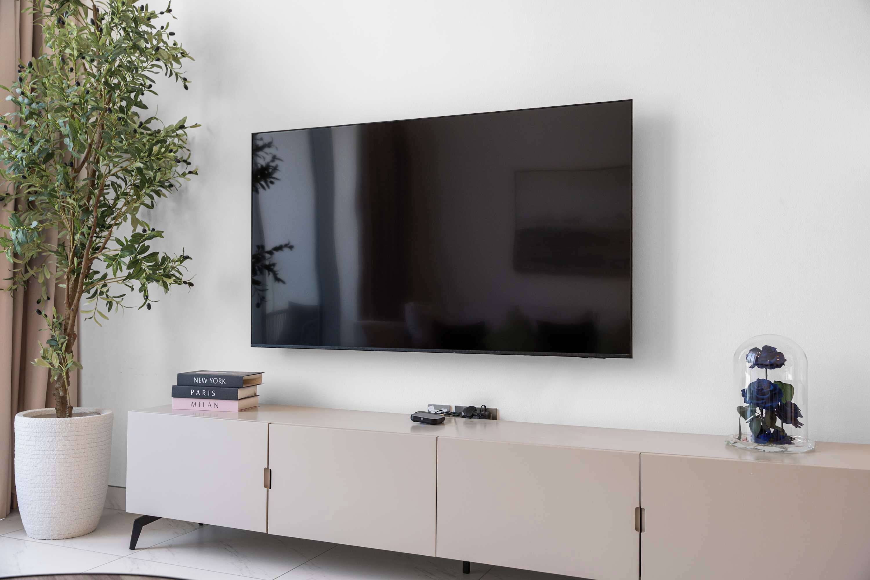 Un téléviseur à écran plat fixé au mur, une plante en pot, un meuble contenant quelques objets et un objet décoratif posé sur le meuble.
