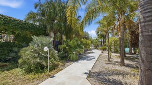 A pathway lined with palm trees and a building with a green roof. - Villa Tropical |Pool|Jacuzzi|Bar|BBQ|AC|16 Pax (VALENCIA)