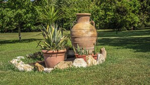 A garden with a large terracotta pot, various potted plants, and rocks. - Podere Pala - Pet Friendly (Toscana)
