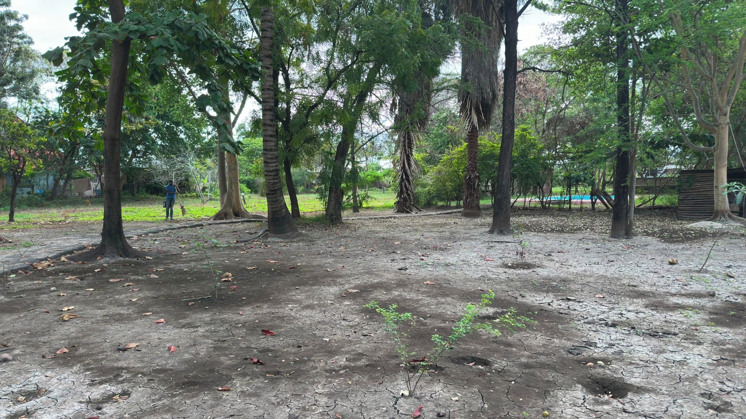 Parco della struttura