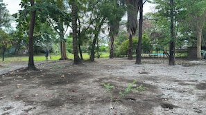A natural outdoor area with trees and dry ground.