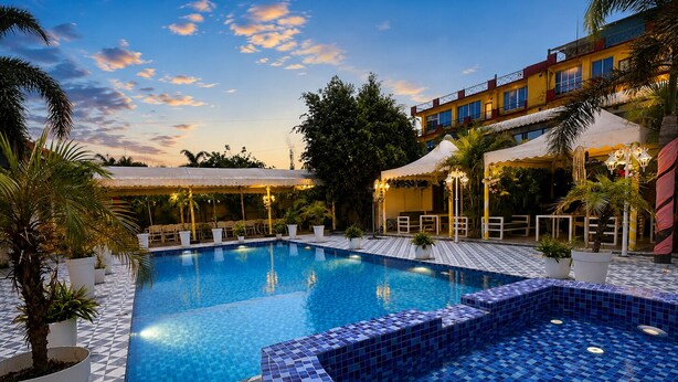 Una piscina con bordes de azulejos, rodeada de plantas en macetas y mobiliario de exterior.