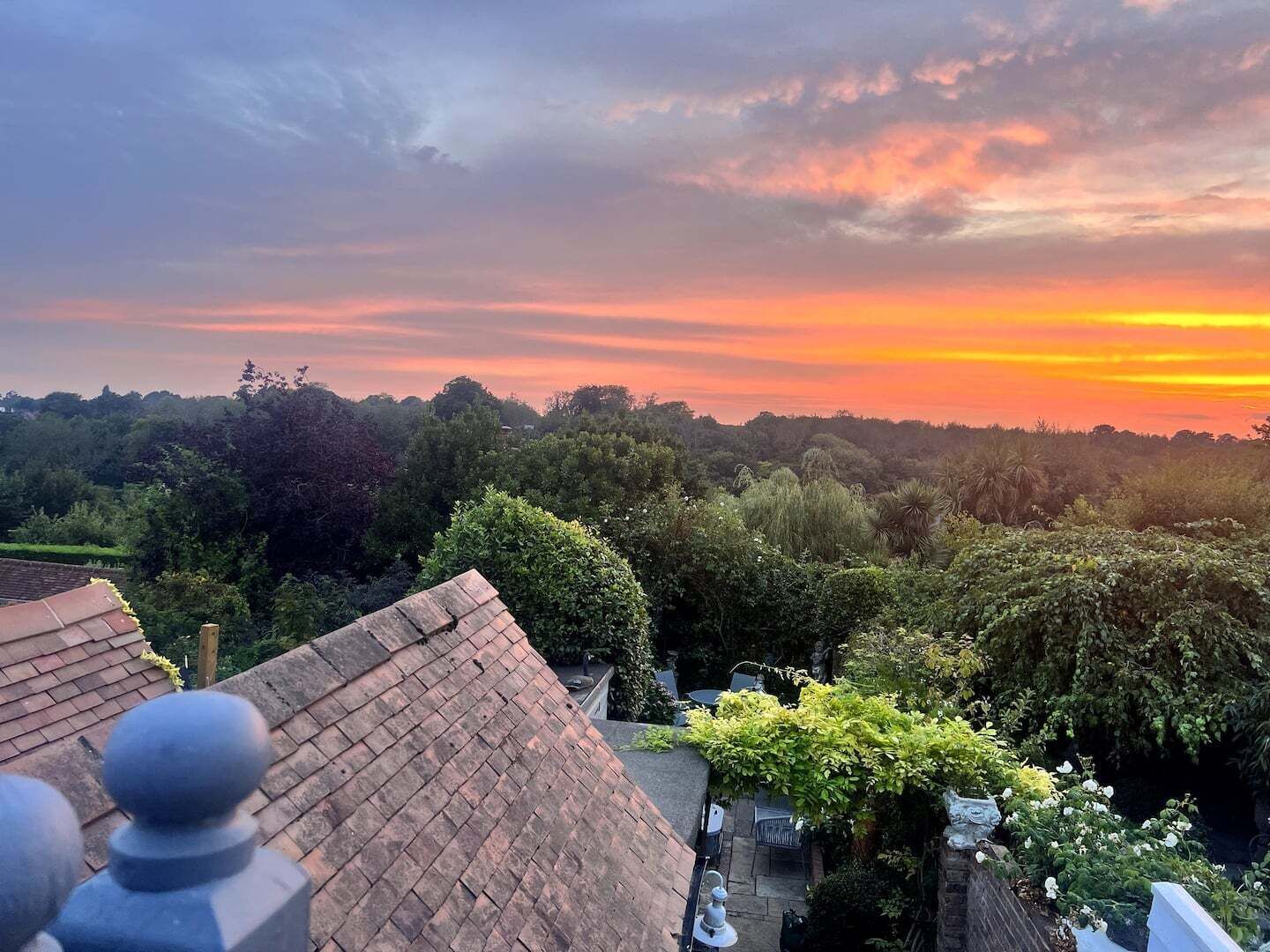 A residential area with a brick roof, a garden with various plants, and a sunset in the background.
