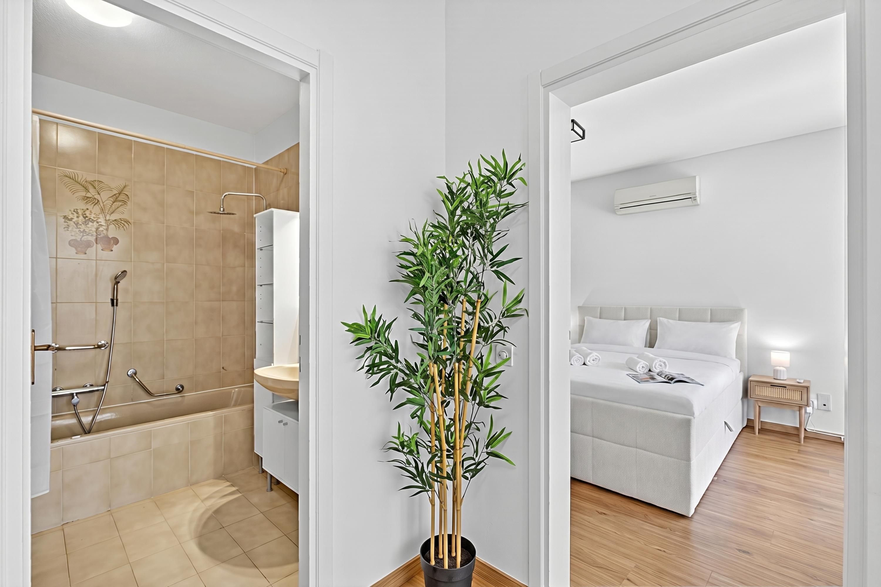 Un bagno moderno con doccia, toilette e lavandino; una camera da letto con letto e comodino; e una pianta di bambù in vaso.