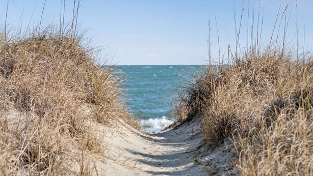 Een zandpad dat naar de zee leidt, omzoomd door droog gras.