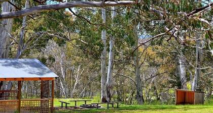 Your gateway to an unforgettable holiday experience in the stunning Snowy Mountains!