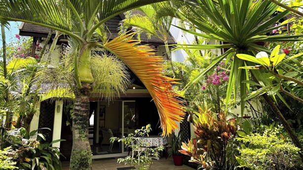 A tropical garden with various plants and a building with a balcony. - Paradise House in Trou-aux-biches (Mont Choisy)