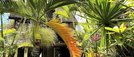 House, 3 Bedrooms, Balcony | Garden