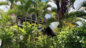 A lush garden with various tropical plants and a building with a traditional architectural style. - Paradise House in Trou-aux-biches (Mont Choisy)