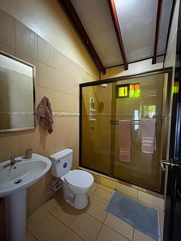 A bathroom with a toilet, sink, and glass-enclosed shower.