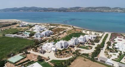 Sunray Pounta Paros Beachfront Villa Near Kitesurf