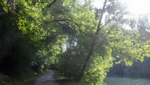 A forested path leading to a body of water. - Holiday Home “Dormitory in Charente” with Private Terrace and Shared Garden (Jarnac)