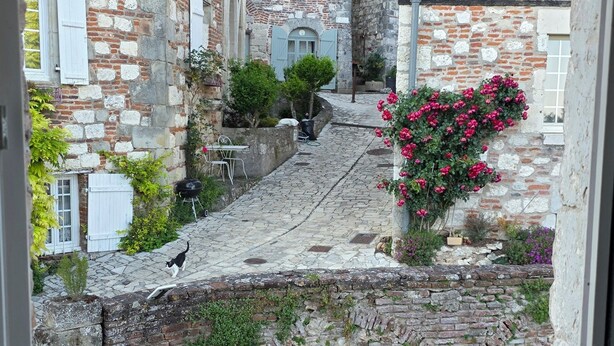 A courtyard with stone buildings, a cat walking, and a green railing. - Exceptional setting with Jacuzzi and cinema room for a suspended moment for 2 (Penne-d'Agenais)