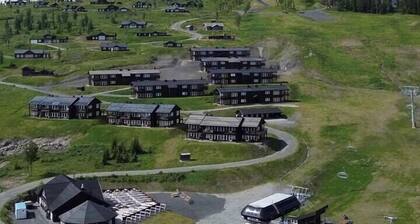 Apartment for year-round holidays in Golsfjellet