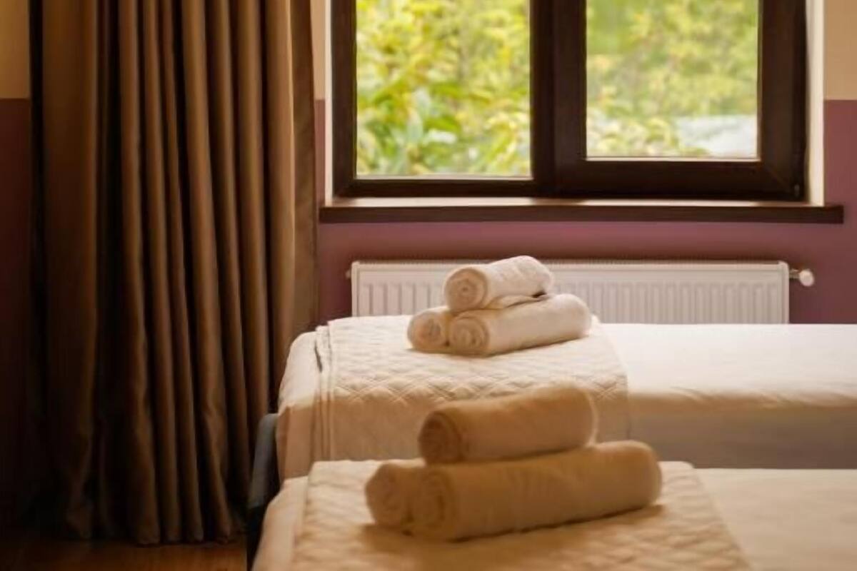 Twin Room, Balcony, Garden View | Meja, ruang kerja komputer riba, Wi-fi percuma 