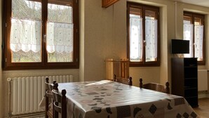 Una habitación con una cama, un televisor y un radiador.