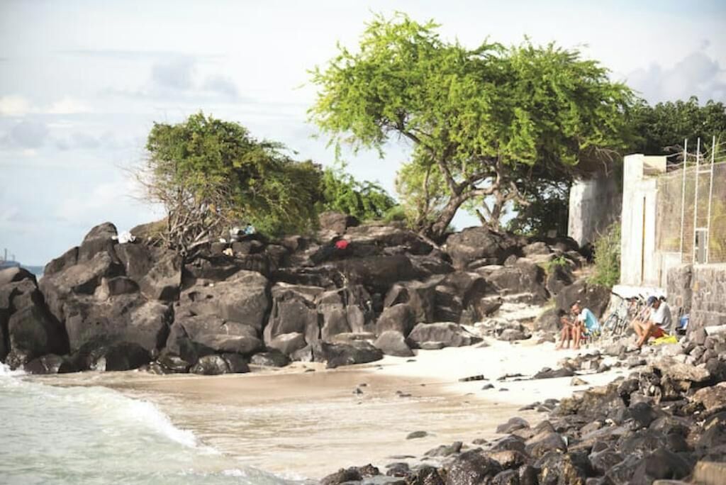 Una spiaggia rocciosa con grandi massi, un albero e alcune persone.