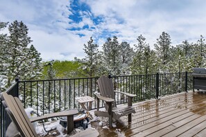 House (2 Bedrooms) | Interior - On 5 Wooded Acres! Quiet Cabin in Hartsel (Guffey)