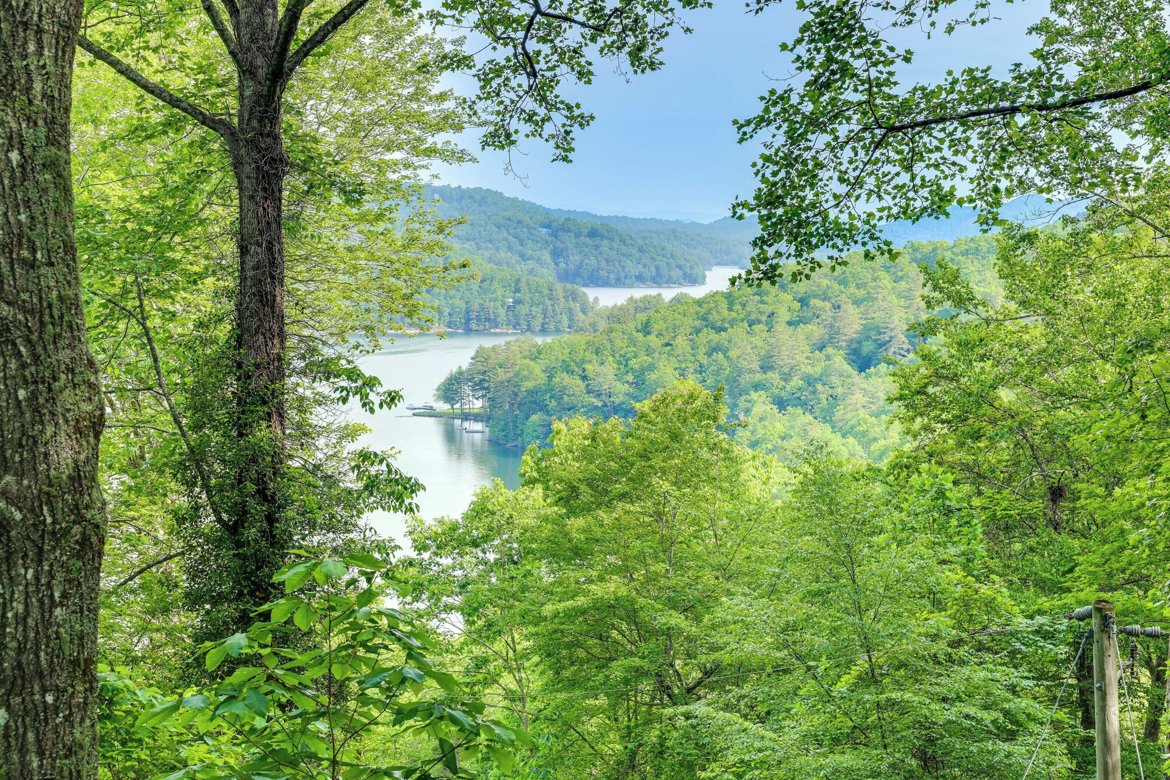 Un paysage boisé avec une étendue d’eau et des collines en arrière-plan.