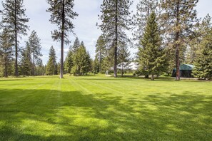 A grassy field with tall trees and a small building with a green roof.