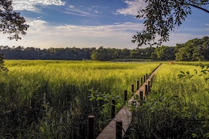 Un paseo marítimo de madera que atraviesa un campo cubierto de hierba, con árboles al fondo.