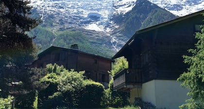 Petit Chalet nature-Chamonix- Mountain view