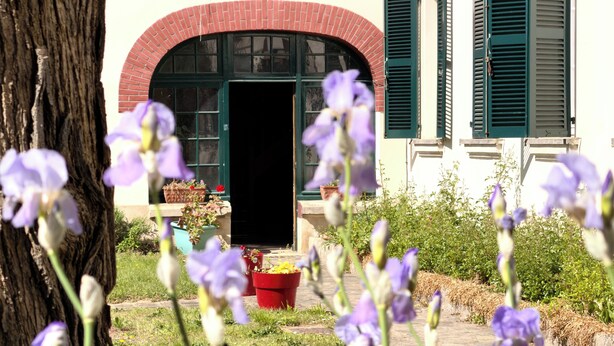 Un edificio con un arco in mattoni, persiane verdi e piante in vaso in primo piano.