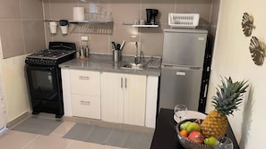 A compact kitchen with a gas stove, a refrigerator, and a sink. - Charming First Floor Apartment in Santo Domingo Este (Santo Domingo Este)