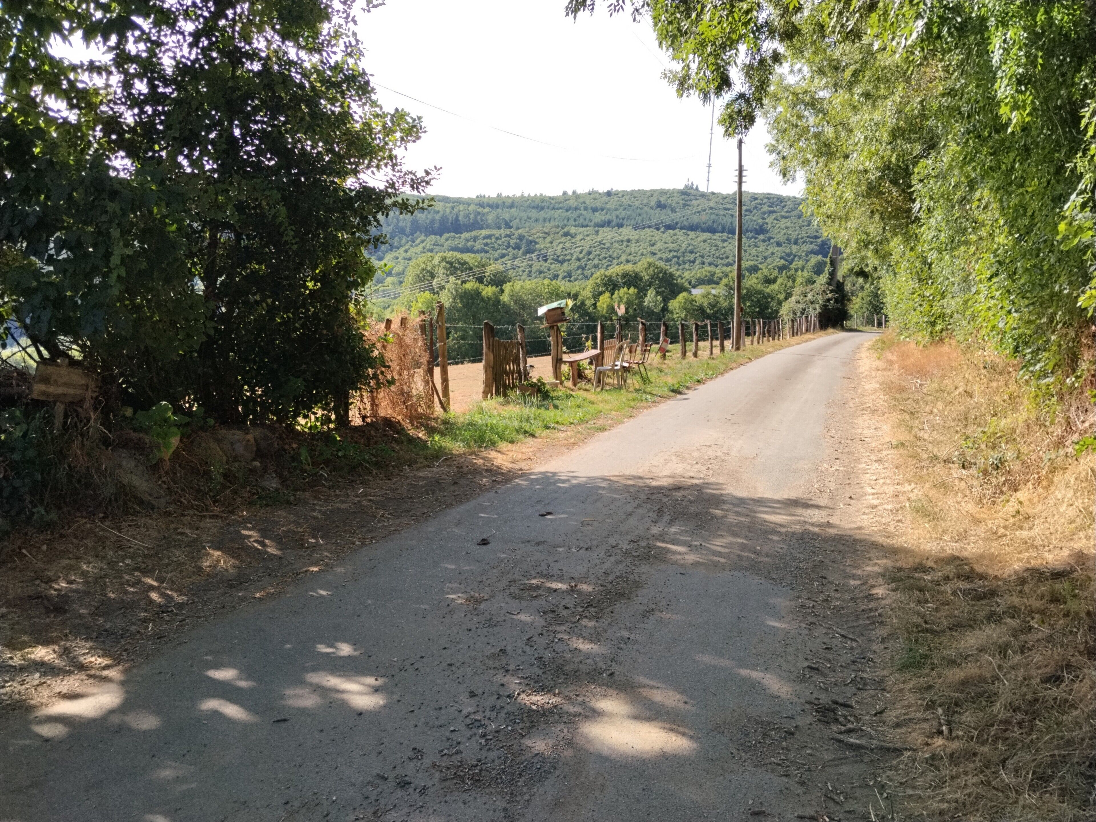 A rural road flanked by trees and a fence, leading to a hilly landscape.
