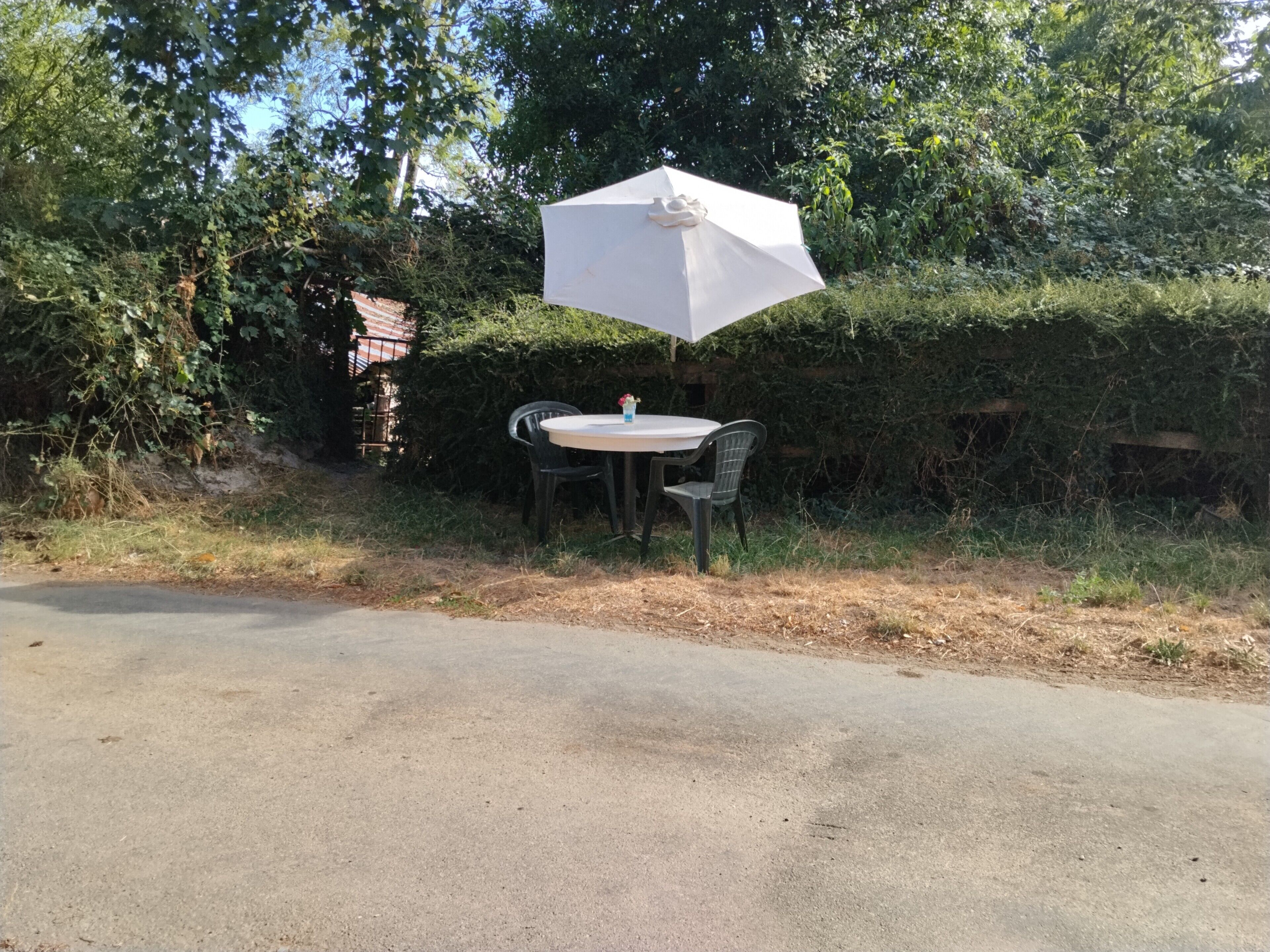 An outdoor table with a white umbrella, surrounded by greenery and a brick wall.