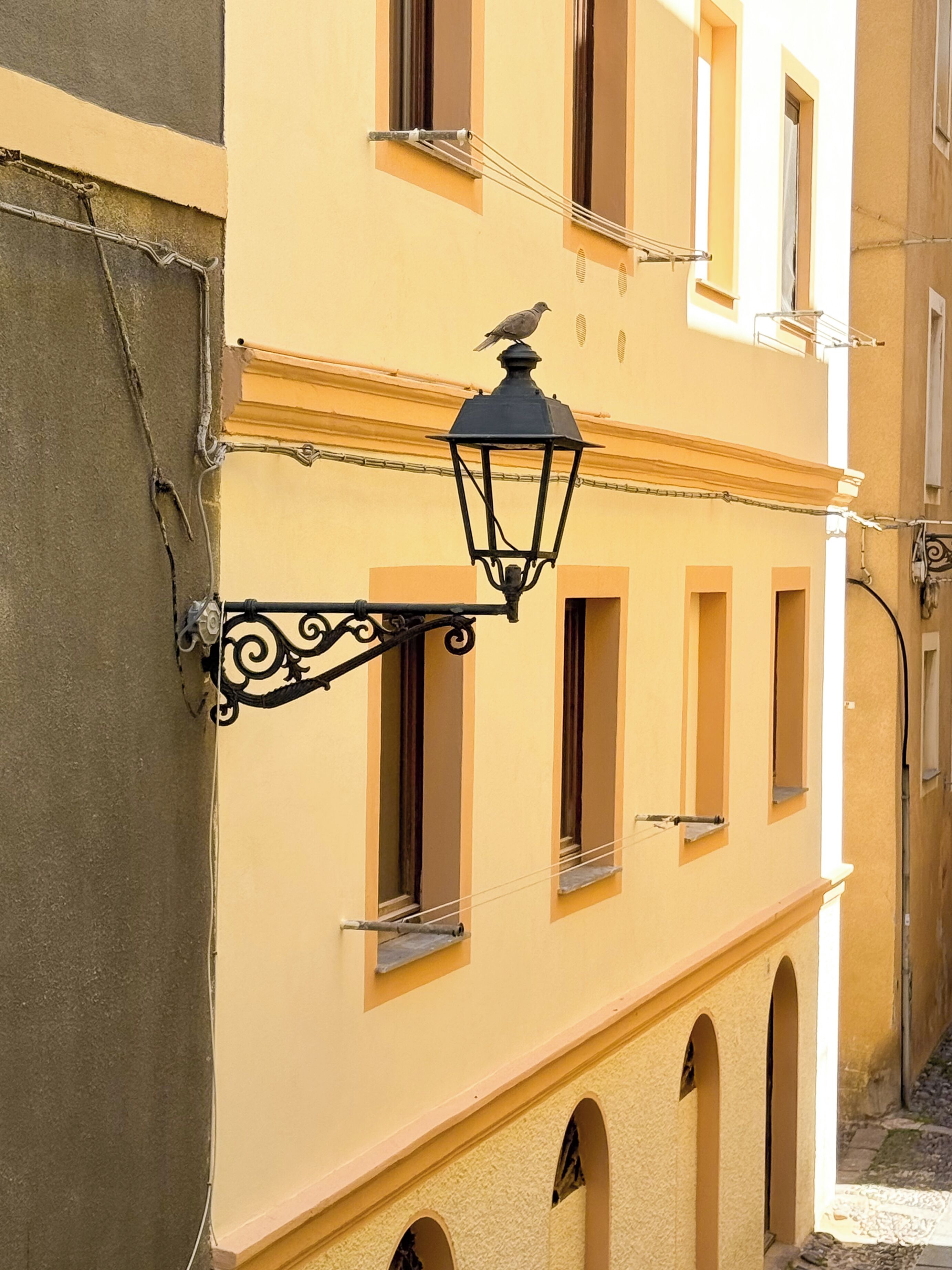 A building with multiple windows, a street lamp, and a bird perched on it.