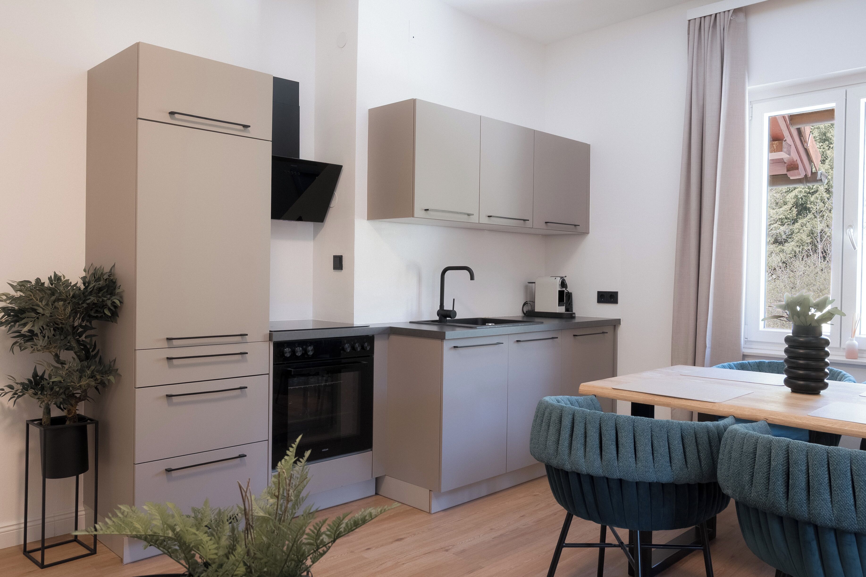 A compact kitchen with a stove, sink, and cabinets, a dining table with chairs, and a potted plant.