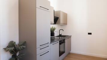 Une cuisine moderne équipée d’un four encastré, d’un évier et d’une plante en pot.