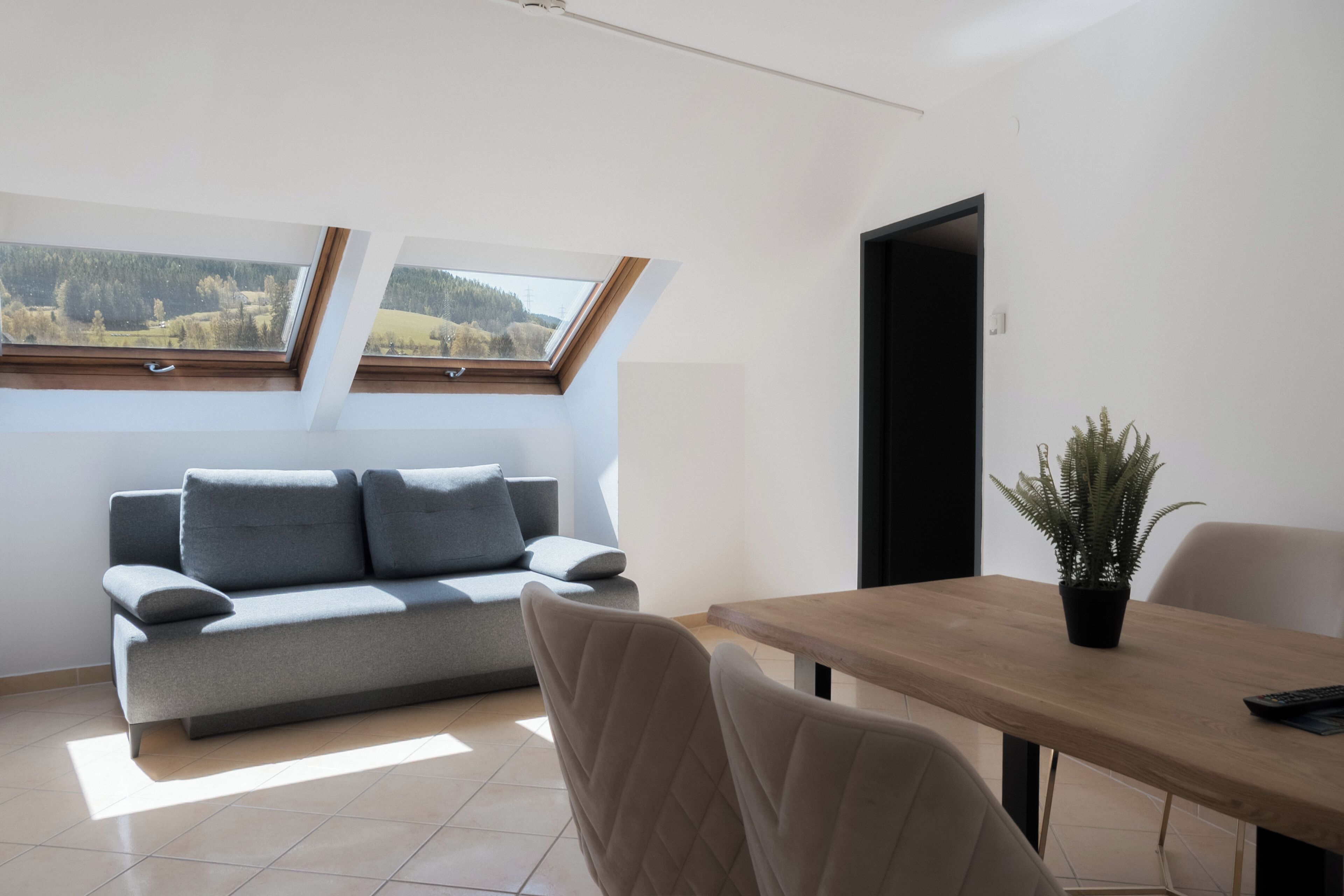 A modern living room with a sofa, a dining table, and a potted plant.