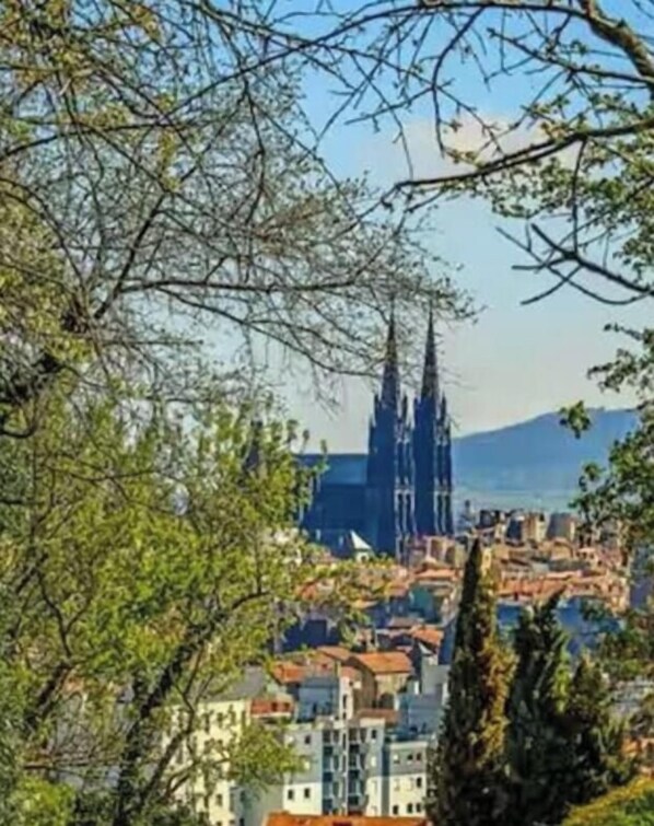 Een stadsgezicht met een opvallende kathedraal en een berg op de achtergrond.