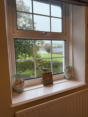 Una ventana con vista a una casa y follaje.