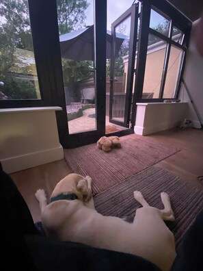 Ein Hund liegt auf einer Teppichfliese neben einer Schiebetür, mit Blick auf einen Garten.