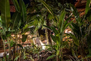 A lush garden with various plants and a stone pathway leading to a building. - La Bicok (Mindo)
