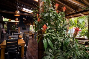A restaurant interior with wooden tables and chairs, hanging pendant lights, and lush green plants. - La Bicok (Mindo, San Miguel de los Bancos)