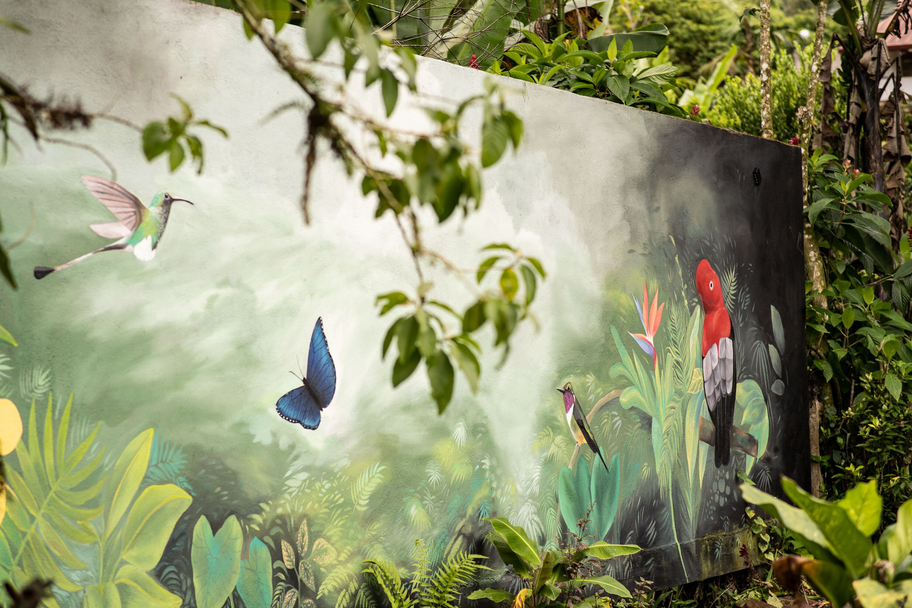 Um mural com pássaros e borboletas, cercado por vegetação exuberante.