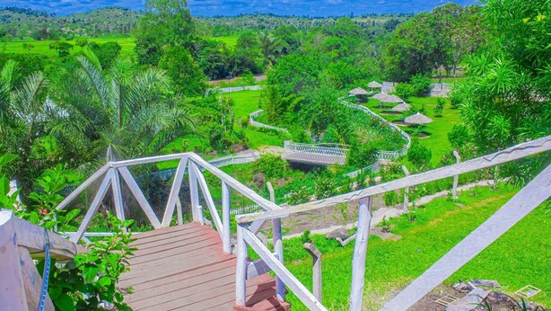 Un paisaje verde y exuberante con una terraza de madera y una cerca blanca.