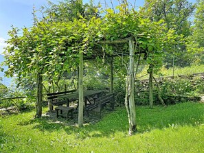 En trälusthus med bänkar, omgiven av frodig grönska och ett stängsel av metalltråd.