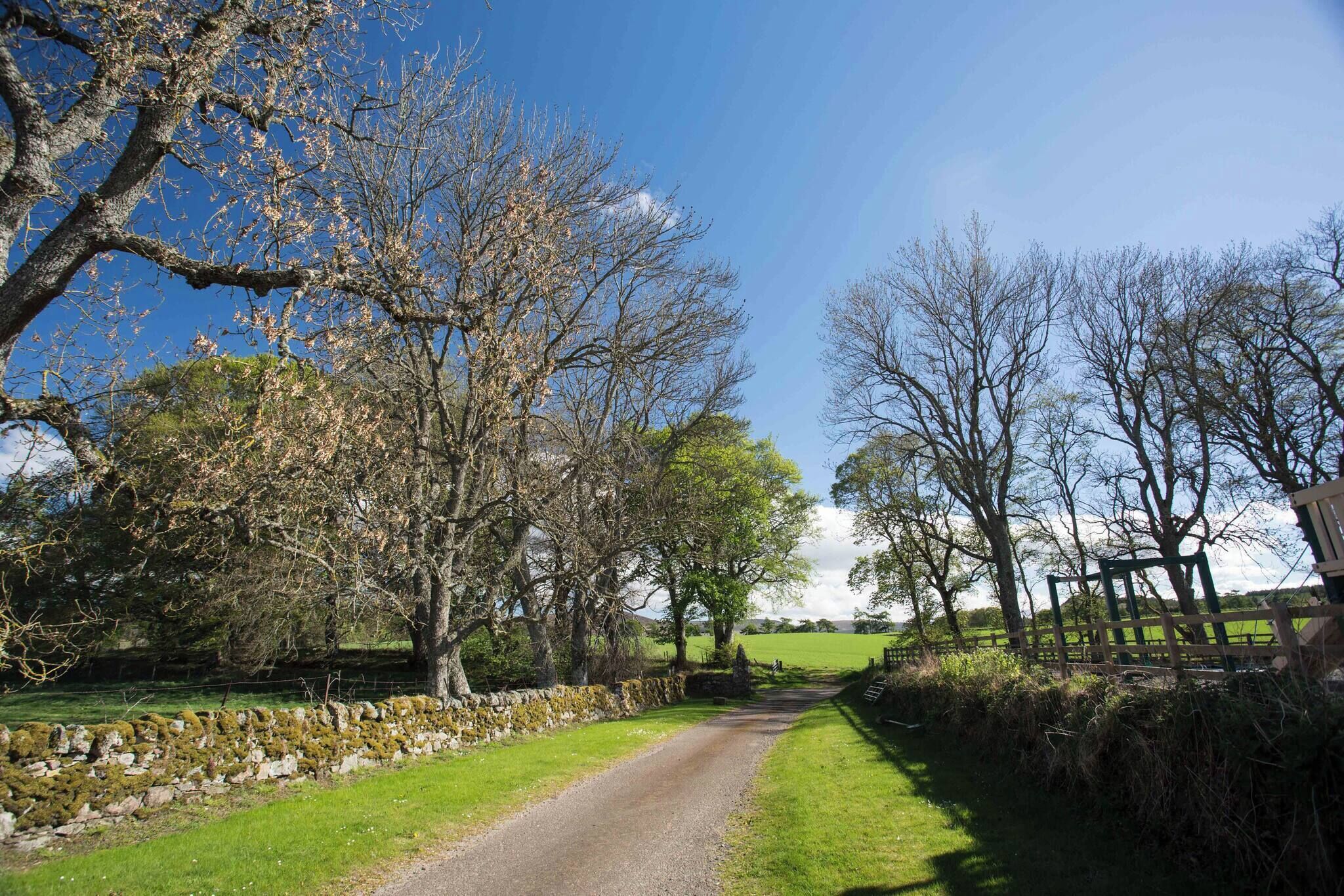 A rural road flanked by trees and stone walls, leading to a fenced area.