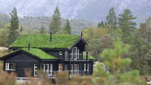 Een huis met een groen dak, omringd door bomen en een berg op de achtergrond.