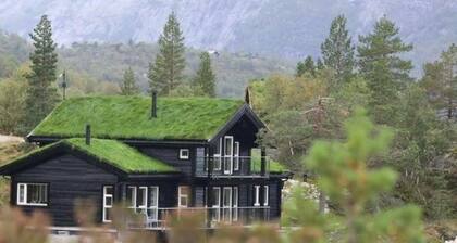 Cabin in the heart of Sirdal - ski in/ski out, great outdoor area with large jazzuci